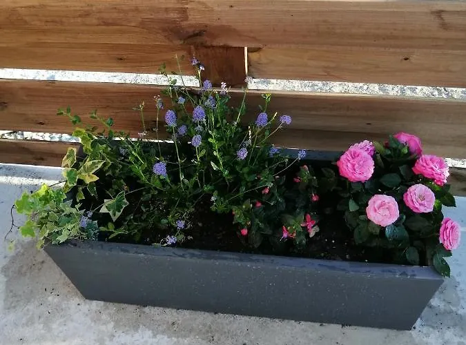 Hébergement de vacances Beun'aise